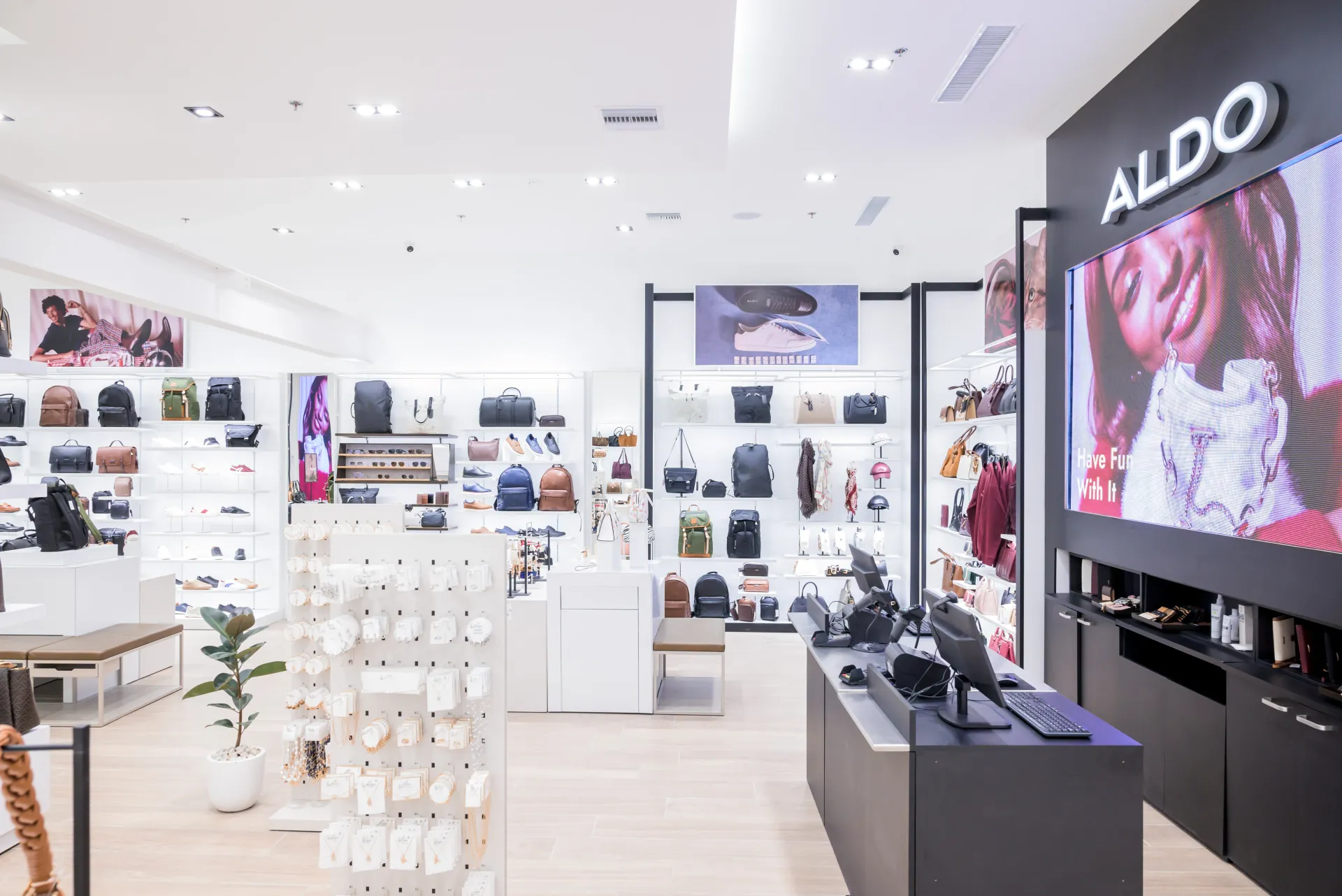 Aldo - Image 3