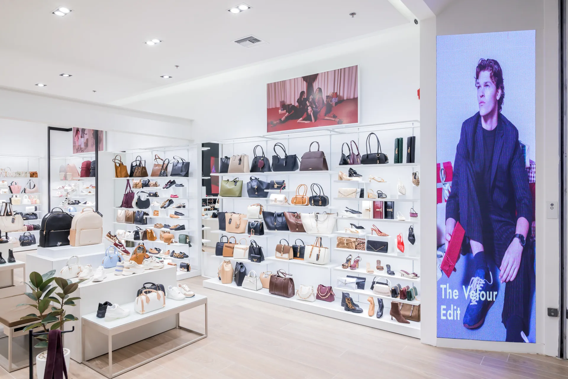 Aldo - Image 4