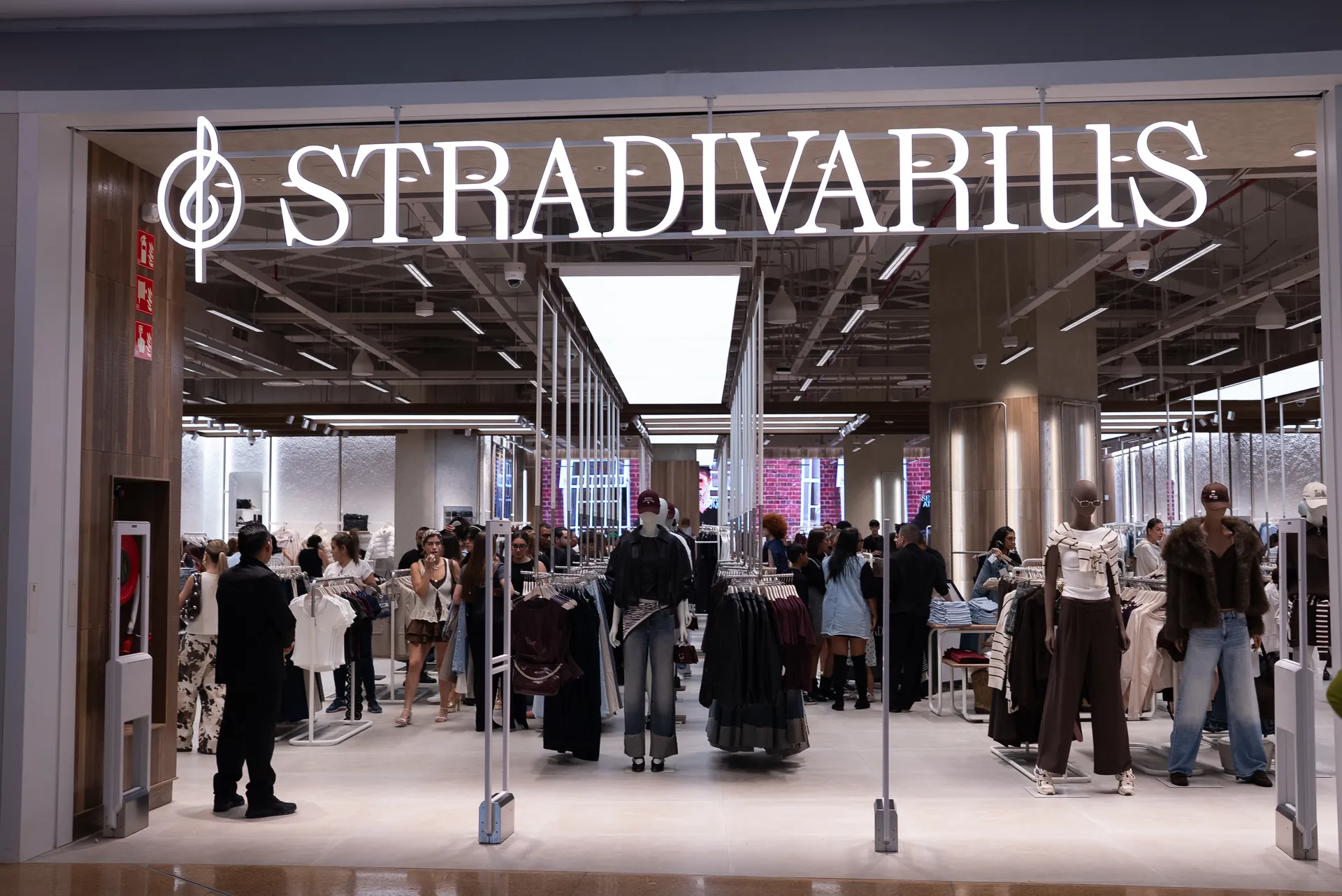 Stradivarius - Image 3